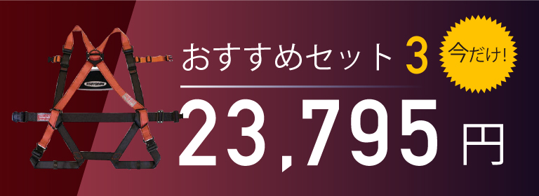 おすすめセット